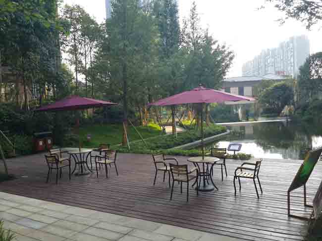 �Lɳ������仨�@�������ΰ���,�������⽡������,�����������e��,���σ�ͯ����,�����\(y��n)��(d��ng)����,�Lɳ�����Ƥ,�Lɳ�҃�(n��i)���\(y��n)��(d��ng)�ذ�,�Lɳ�������,�Lɳ���⽡������,�Lɳ�������e��,�Lɳ��ͯ����,�Lɳ�\(y��n)��(d��ng)����,�Lɳ�����w����Ʒ���޹�˾